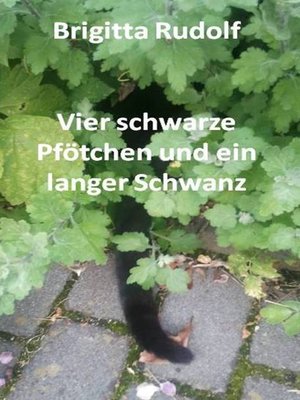 cover image of Vier schwarze Pfötchen und ein langer Schwanz